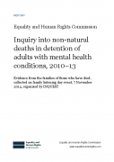 Inquiry into non-natural deaths in detention of adults with mental health conditions, 2010–13